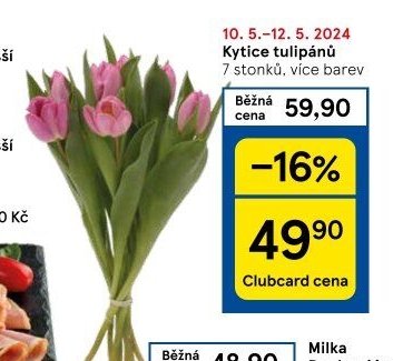 Kytice tulipánů