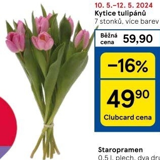 Řezané tulipány