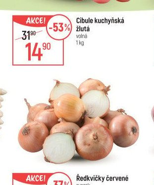 Cibule kuchyňská žlutá