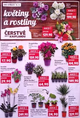akční leták Kaufland 15.5.2024-21.5.2024