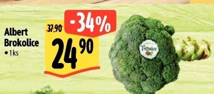 Brokolice Albert