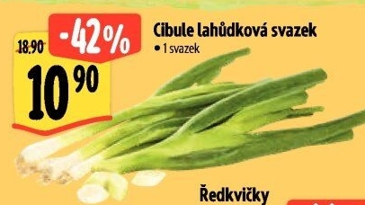 Jarní cibule svazek