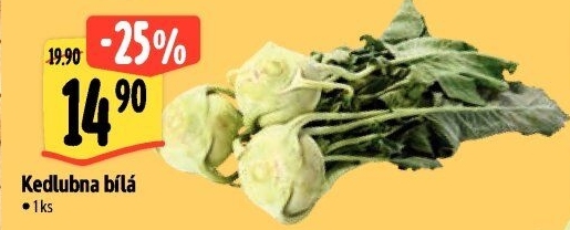 Kedlubna bílá