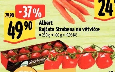 Rajčata keříková Albert