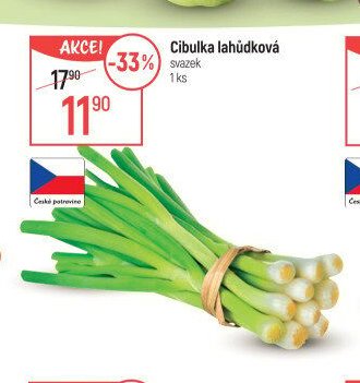 Cibulka lahůdková