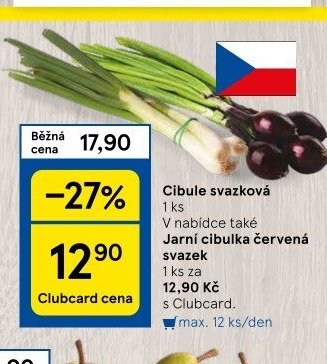 Cibule svazková