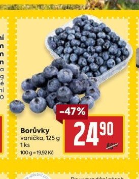 Borůvky