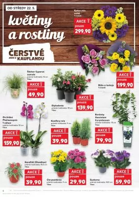 akční leták Kaufland 22.5.2024-28.5.2024