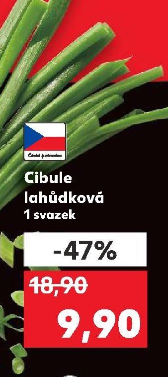 Cibule lahůdková