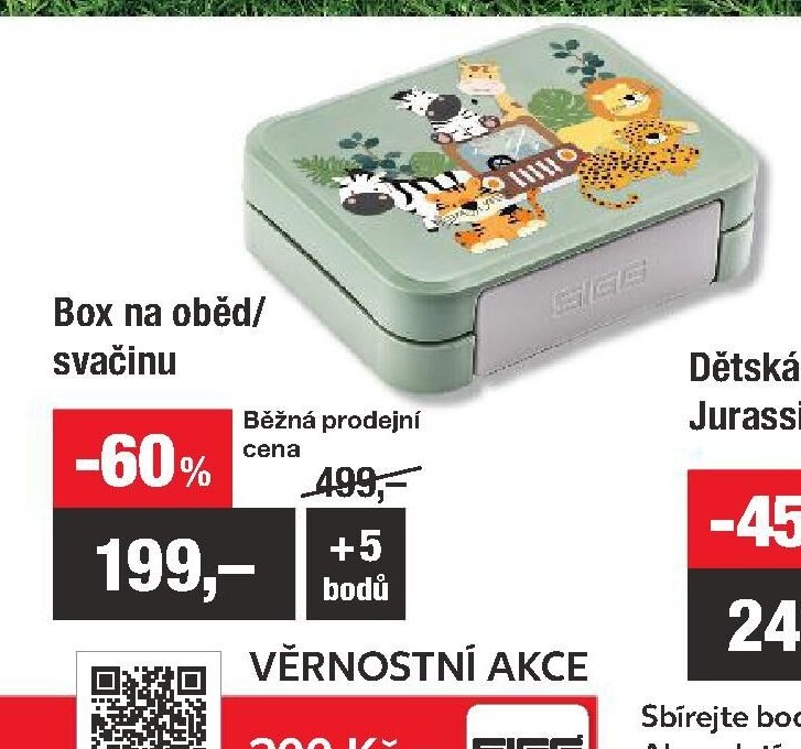 Box na oběd / svačinu