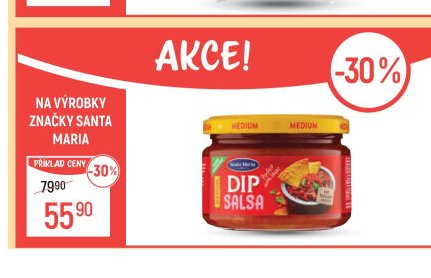 DIP SALSA Santa Maria