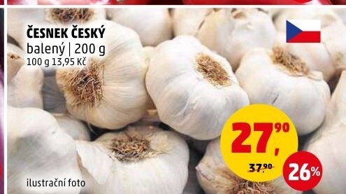 Česnek český