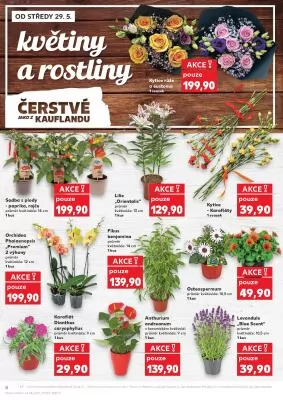 akční leták Kaufland 29.5.2024-4.6.2024