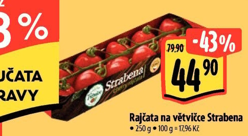 Rajčata keříková Albert