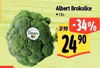 Brokolice Albert