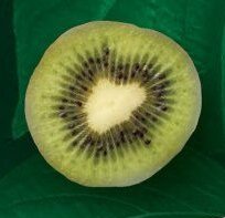 Kiwi
