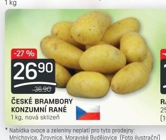 ČESKÉ BRAMBORY KONZUMNÍ RANÉ