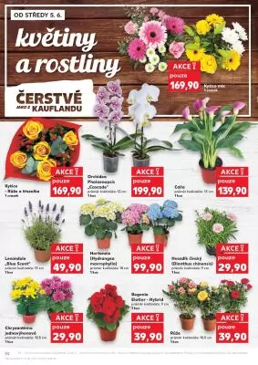 akční leták Kaufland 5.6.2024-11.6.2024