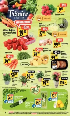 akční leták Albert 5.6.2024-11.6.2024