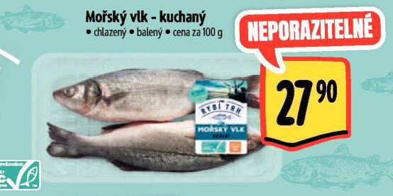 Vlk mořský kuchaný Albert