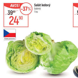 Salát ledový