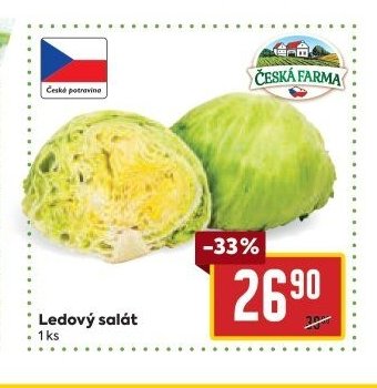 Ledový salát