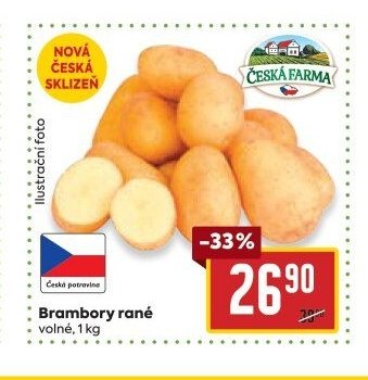 Brambory rané