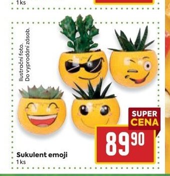 Sukulent emoji