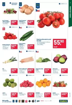 akční leták Makro 5.6.2024-18.6.2024