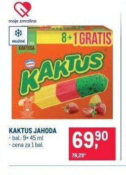 KAKTUS JAHODA