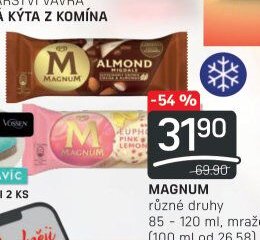 MAGNUM různé druhy 85-120 ml