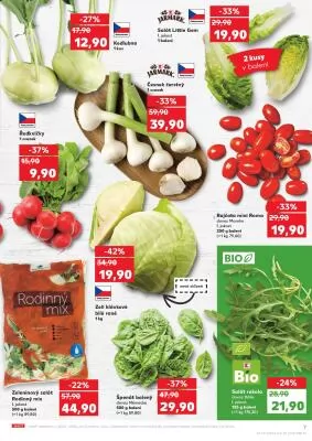 akční leták Kaufland 12.6.2024-18.6.2024