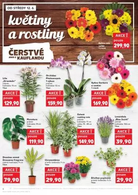akční leták Kaufland 12.6.2024-18.6.2024