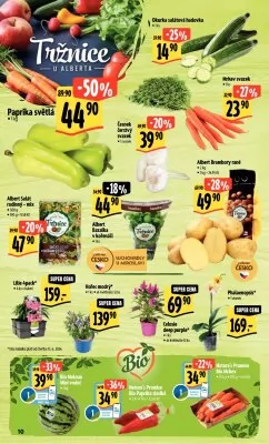 akční leták Albert 12.6.2024-18.6.2024