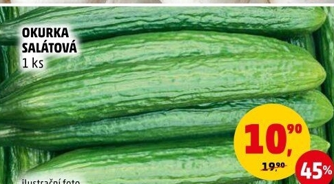 Okurka salátová - hadovka