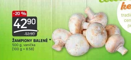 ŽAMPIONY BALENÉ