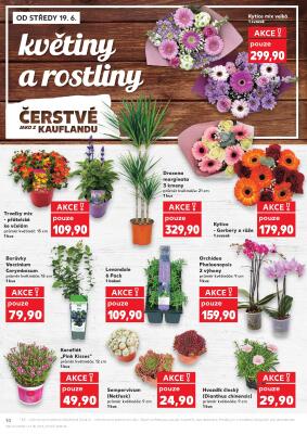 akční leták Kaufland 19.6.2024-25.6.2024