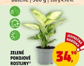 Mix zelených rostlin