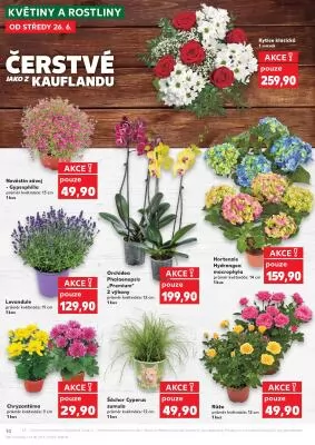 akční leták Kaufland 26.6.2024-2.7.2024