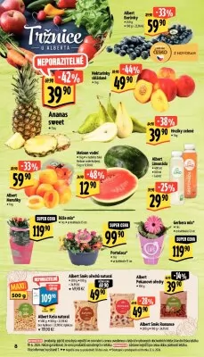 akční leták Albert 26.6.2024-2.7.2024
