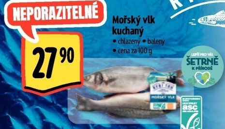 Vlk mořský kuchaný Albert