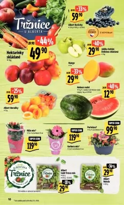 akční leták Albert 26.6.2024-2.7.2024