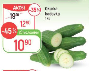 Okurka salátová - hadovka