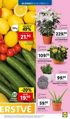 akční leták Lidl 1.7.2024-7.7.2024