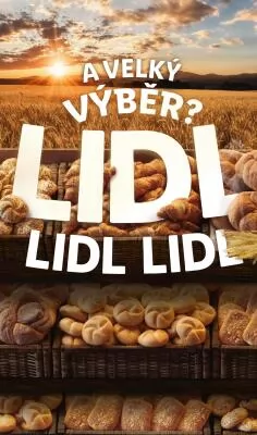 akční leták Lidl 1.7.2024-7.7.2024