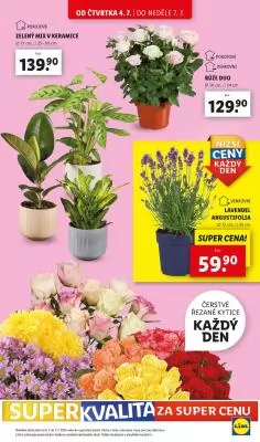 akční leták Lidl 4.7.2024-7.7.2024