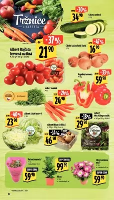 akční leták Albert 3.7.2024-9.7.2024
