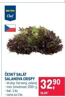 Salát salanova crispy Metro Chef