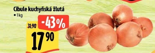 Cibule kuchyňská žlutá