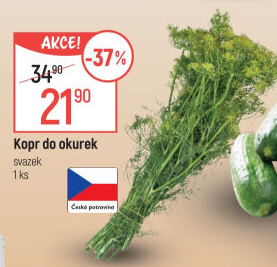 Kopr čerstvý svazek